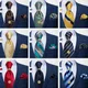 Cravate avec motifs de plumes dorées marines pour hommes, cravate formelle, mouchoir, ensemble de