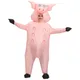 Costume de jeu de rôle de noël gonflable, Costume pour adultes et enfants, cochon rose, robe