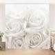 Ensemble de rideaux coulissants - White Roses - 4 Rideaux à panneaux Dimension: 250 x 240cm (4