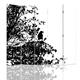 Paravent - Cloison Forest Silhouette cm 180x170 (5 volets)