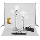 "vidaXL Fotostudio-Set mit Leuchten, Schirmen, Hintergrund, Reflektor"