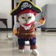 Perle Rare - Costumes Halloween Chien Chat Petit Vêtements Cosplay Pirate (S)
