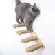 Échelle en corde de Sisal antidérapant pour chat arbre à chat en bois escalier plateforme