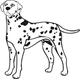 Indigos WG20217-35 Wandtattoo w217 Dalmatiner Hund Dog Wandaufkleber, 96 x 96 cm, Orange