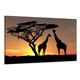 Visario Leinwandbilder 5034 Bild auf Leinwand Afrika, 120 x 80 cm