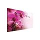 Delester Design Orchidee, Bild 100 x 75 x 75 cm rosa