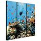 Aquarium Design Delester PS146S3 Tabelle 100 x 90 x 30 cm