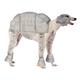 Rubie's Offizielles Pet Dog Star Wars Kostüm AT-AT