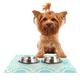 Kess eigene Suzie Tremel Heathered Küchenwaage Pet Schüssel Tisch-Sets für Hunde und Katzen Futterschüsseln, 24 von 15 Zoll, blau/hellbraun