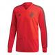 adidas Herren 18/19 FC Bayern Training Top Sweatshirt, red/Utility ivy, S