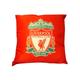 Zap Ltd Liverpool Cushion