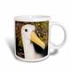 3dRose Ecuador, Galapagos mit, Albatross (Bezeichnung sa07 mde0156 Michael defreitas, Keramik, Weiß, 10,16 x 7,62 x 9,52 cm
