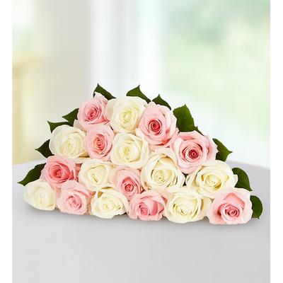 1-800-Flowers Flower Delivery May Rose Of The Month Pink & White Bouquet Only