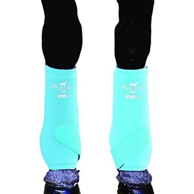 Professionals Choice Equine Smbii Leg Boot, Pair (Large, Turquoise)