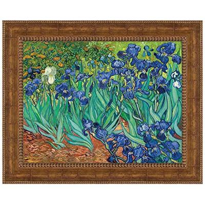 Design Toscano Irises, 1889: Canvas Replica Painting: Small