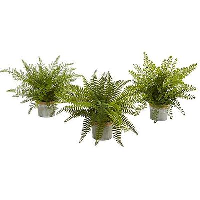 Nearly Natural Artificial Plant 14" Assorted Ferns with Planter, Set of 3 Green 3 Piece