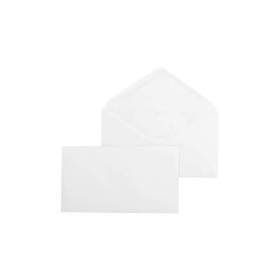 Business Source Business Envelope (04469)