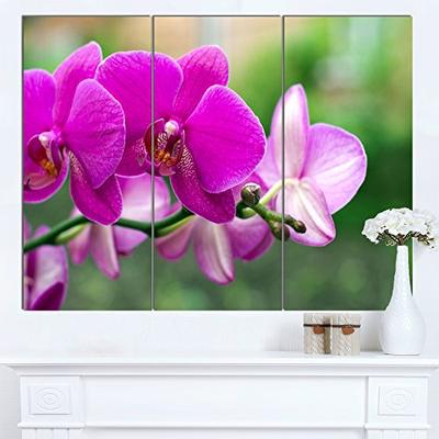 Designart MT14925-3P Beautiful Orchid Flowers on Green - Modern Flower Glossy Metal Wall Art,Green,3