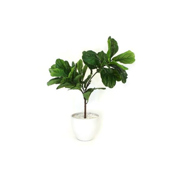brayden-studio®-fiddle-leaf-fig-plant-in-pot-silk-ceramic-|-34-h-x-25-w-x-21-d-in-|-wayfair-23d6920fde58445da0183b001af72189/