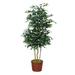 Rosalind Wheeler Faux Ficus Tree in Basket Silk/Wicker/Rattan | 86 H x 35 W x 35 D in | Wayfair 2777453A23A1498B92B8EE0EBFFD9FA0