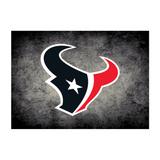 Houston Texans Imperial 3'10" x 5'4" Distressed Rug