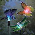 Exhart Solar Color Changing Fiber Optic Butterfly, Hummingbird & Dragonfly Garden Stakes Resin/Plastic | 16 H x 4.13 W x 3.74 D in | Wayfair