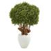 World Menagerie Artificial Boxwood Topiary in Planter Earthenware/Silk/Plastic | 41 H x 30 W x 30 D in | Wayfair 1ADF2A5F477A4E8784DDC9C90F89622B