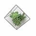 Union Rustic Artificial Succulent & Terrarium Arrangement Glass/Plastic | 7.5 H x 7 W x 7 D in | Wayfair BE7ED1E61CD04BB9BB2056FD06D80E01