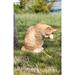 Hi-Line Gift Ltd. Tabby Cat American Shorthair Washing Statue in Orange | 10.25 H x 6.81 W x 9 D in | Wayfair 87698-A