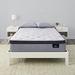 Full 14" Hybrid Mattress - Serta Perfect Sleeper Ultra Plush & Box Spring Set | 76.5 H x 56 W 13.75 D in Wayfair 500162733-9930