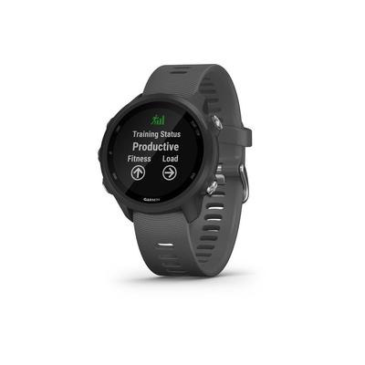 Garmin Forerunner 245 Watch Slate Gray 010-02120-00