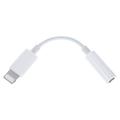 Apple Lightning auf 3,5 mm Adapter