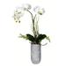 Vickerman 605905 - 17" White Yellow Orchid In Glass Pot (FX191017) Home Office Flowers in Pots Vases and Bowls