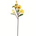Vickerman 607343 - 28" Yellow Magnolia Stem Pk/3 (FA191708) Home Office Flowers with Stems