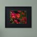 Trademark Fine Art Beauty of Summer Blooms Red by Kurt Shaffer Framed Photographic Print Canvas | 11 H x 14 W x 0.5 D in | Wayfair KS01161-B1114BMF