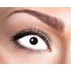 Eyecatcher 84091541-s13 - Farbige Sclera Kontaktlinsen, 1 Paar, für 6 Monate, Weiß, Karneval, Fasching, Halloween