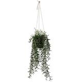 Vickerman 609385 - 22" Green Grass Plant in Hanger Pot (FE191422) Home Office Flowers in Pots Vases and Bowls