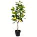 Vickerman 588604 - 28" Potted Lemon Tree Real Touch Leaves (TA190128) Fruit Styled Home Office Tree