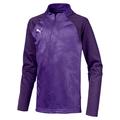 PUMA Cup Training 1/4 Zip Core Jr Pullover, Prism Violet-Parachute Purple, 128