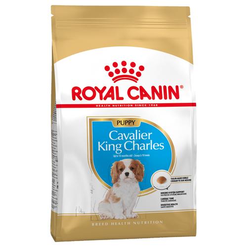 3 x 1,5 kg Royal Canin Breed Cavalier King Charles Puppy Hundetrockenfutter