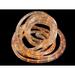 The Holiday Aisle® 18' Sunrise LED Christmas Rope Lights - Warm Clear Lights in Orange | 0.38 H x 0.38 W x 228 D in | Wayfair