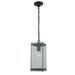 Ivy Bronx Nicolette Black 1 - Bulb Outdoor Pendant Glass/Aluminium/Metal in Black/Gray | 16 H x 6.75 W x 60 D in | Wayfair