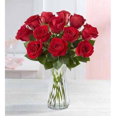 1-800-Flowers Flower Delivery One Dozen Red Roses Red Roses, 12 Stems W/ Clear Vase | Happiness Delivered To Their Door