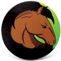 Winston Porter Horse Coaster Ceramic in Black/Brown | 0.25 H x 3.75 D in | Wayfair BD7DBE2B05884D7BB659803E38A63CEE