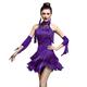 Z&X Women Dancewear Rhinestone Fringed Sleeveless Latin Dance Dress 4 Pieces Outfits (Tag L, Purple)