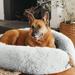 Best Friends by Sheri The Original Calming Donut Cat & Dog Bed Polyester in White | 9.3 H x 45 W x 23 D in | Wayfair 4764