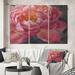 East Urban Home Shabby Elegance Vivid Pink Peonies I - 3 Piece Wrapped Canvas Painting Print Set Metal in Black/Pink/Yellow | Wayfair