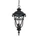 Astoria Grand Appalachian 3 -Bulb 24.5" H Outdoor Hanging Lantern Glass/Aluminium/Metal in Black | 24.5 H x 11.25 W x 11.25 D in | Wayfair