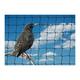 Bird Netting For the Garden 10m x 15m 28mm Anti Starling Knotted 1 1/8" Mesh Heavy Duty Black Net