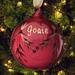 The Holiday Aisle® January Birthstone Personalized Ball Ornament Glass in Red | 3 H x 3 W x 3 D in | Wayfair CF2D4F0F676B46789C078555F67C7DED